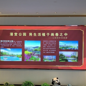 �ຣ���ďV�湫˾��