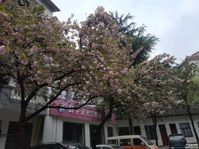 Ʒ�Ƃ������ƽ�Q����